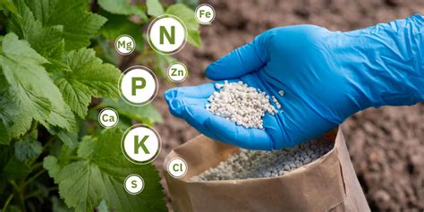 Varias opciones de fertilizantes con zinc