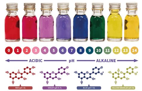 Esquema de la estructura de las antocianinas y su variación de color según el pH