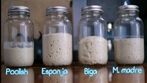Preparación del prefermento de masa madre