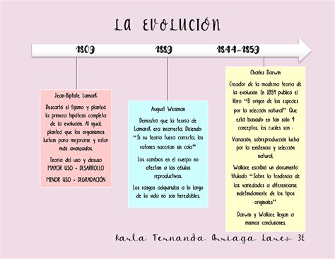 Esquema de la evolución de una frase idiomática