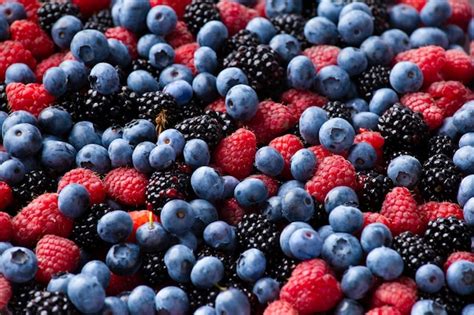 Fotografía de diversos frutos rojos silvestres como moras, frambuesas y arándanos en su entorno natural.