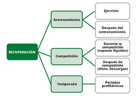 Esquema de los procesos de recuperación celular y tisular.