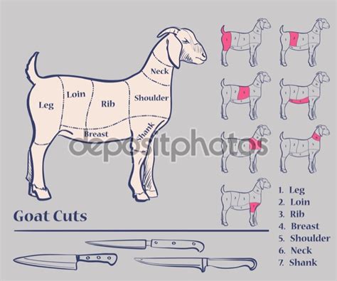 Esquema comparativo de cortes de cabrito y cordero