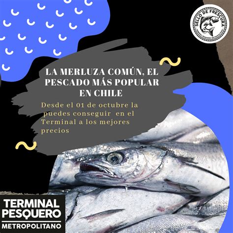 infografía comparativa de precios de merluza común fresca entre Terminal Pesquero y supermercados Jumbo