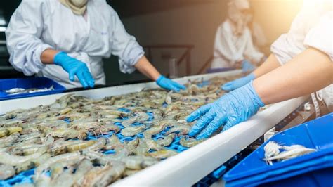 Planta de procesamiento de mariscos moderna con énfasis en la higiene