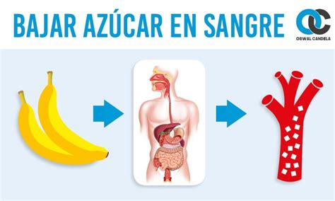 Dos gráficos que comparan cómo cambia el azúcar en sangre y la insulina después de comer arroz solo o arroz mezclado con lentejas, mostrando que el arroz con lentejas provoca una subida de azúcar en sangre más baja y controlada, lo que significa que la energía se libera de forma más gradual.