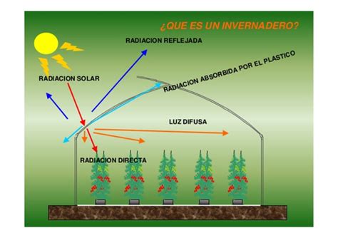 Esquema de las condiciones óptimas de suelo, temperatura y luz solar para el cultivo de cebollas