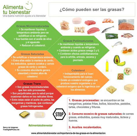 Infografía sobre la composición de grasas en alimentos