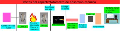 Diagrama esquemático del espectrofotómetro de absorción atómica AAS3000FG con sus componentes principales (fuente de luz, atomizador de llama, atomizador de horno de grafito, detector).
