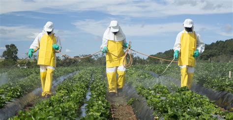 Agricultor utilizando equipo de protección personal completo durante la aplicación de plaguicidas