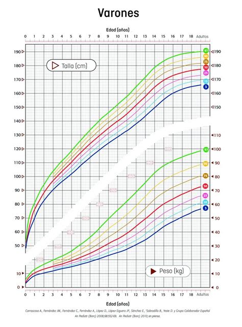 Curva de crecimiento y acumulación de reservas en espárrago con múltiples cosechas
