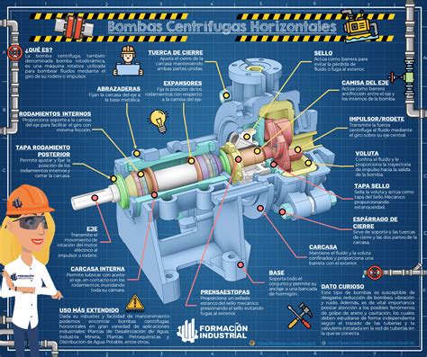 Esquema detallado de los componentes internos de una bomba de espuma: cabezal, eje, muelle y placa de dispersión.