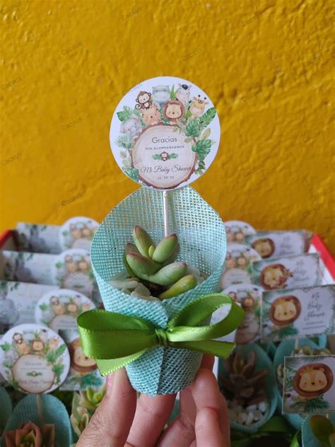 Cupcakes de suculentas para baby shower
