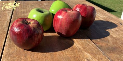 Manzanas de cartapesta terminadas mostrando su realismo