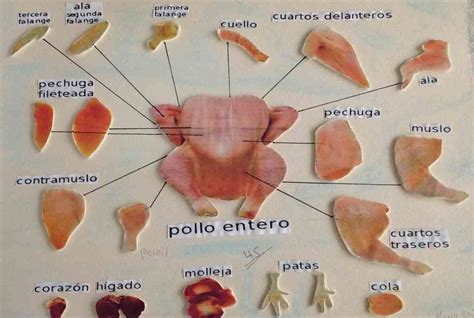 Esquema de las partes del pollo y cómo se trincha
