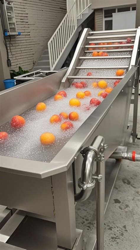 Lavadora industrial de burbujas para frutas delicadas