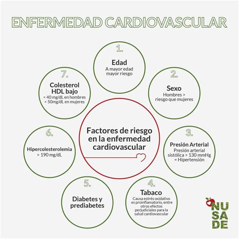 Gráfico informativo sobre los principales factores de riesgo para la candidiasis