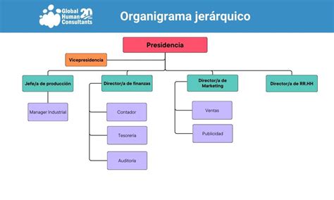 Comparación de organigramas jerárquico, funcional y horizontal para restaurantes.