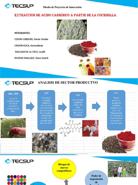 Diagrama del proceso de extracción del ácido carmínico de la cochinilla.