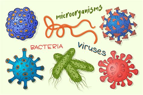 Gráfico de supervivencia de patógenos en mantequilla bajo diferentes condiciones