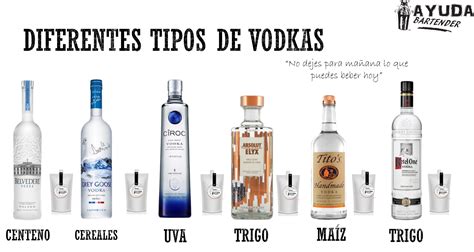Infografía de los diferentes tipos de vodka según su materia prima y sabor.