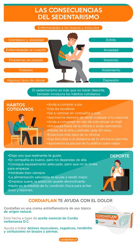 Esquema de las causas del vientre caído (sedentarismo, dieta, genética, posparto, envejecimiento)
