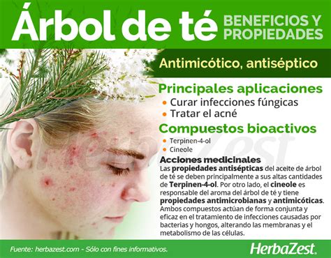 Gráfico o ilustración mostrando las diferentes aplicaciones tópicas del aceite de árbol de té en la piel y el cabello