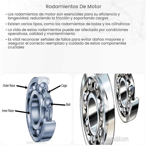 Infografía que muestra la alineación correcta de los rodamientos superior e inferior para evitar vibraciones