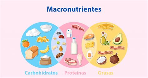 Gráfico comparativo de macronutrientes en cereales de maíz sin azúcar vs. azucarados