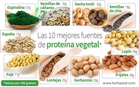 Infografía: Comparativa visual de fuentes de proteína vegetal (legumbres, semillas, tofu) y su aporte en aminoácidos esenciales.