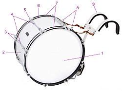 Esquema anatómico de un bombo: casco, parches, aros de tensión y sistema de afinación.