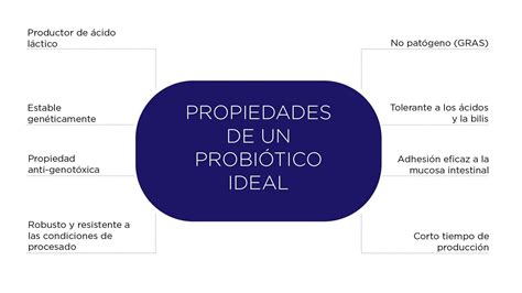 esquema de cómo los probióticos de la levadura de cerveza actúan sobre la microbiota intestinal