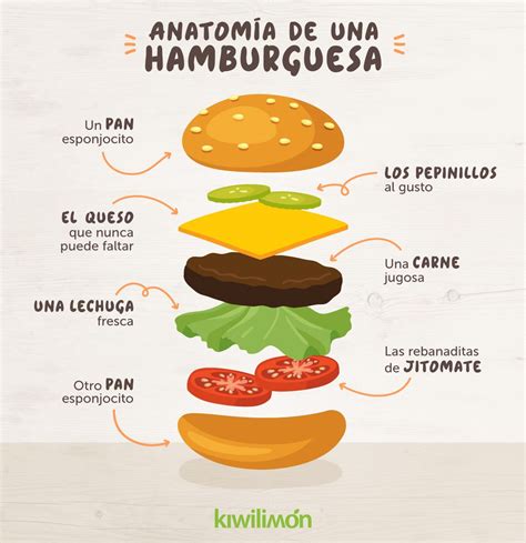 Esquema visual que muestra el desmontaje de una hamburguesa en tres partes: pan, carne y vegetales frescos.