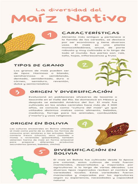 Infografía comparativa de las características del maíz azul y el maíz blanco, destacando color, sabor, textura y perfil nutricional.