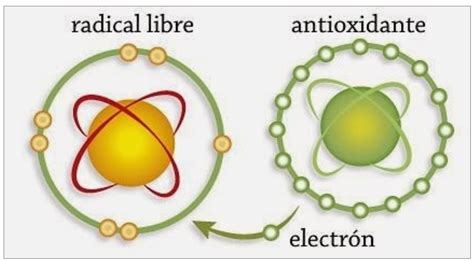 Ilustración que muestra el mecanismo de acción de los antioxidantes neutralizando radicales libres.