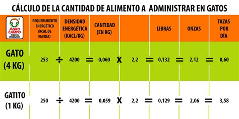 Infografía sobre los requerimientos nutricionales básicos de los gatos y alimentos prohibidos.