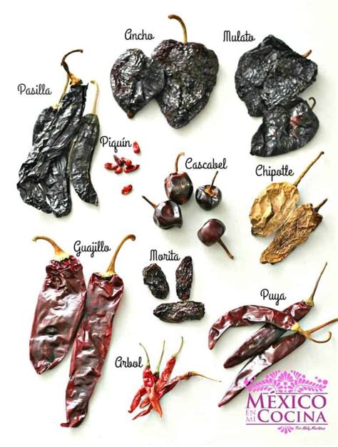 Foto de ingredientes variados para aceite picante: chiles secos, ajo, especias, hierbas y diferentes tipos de aceite