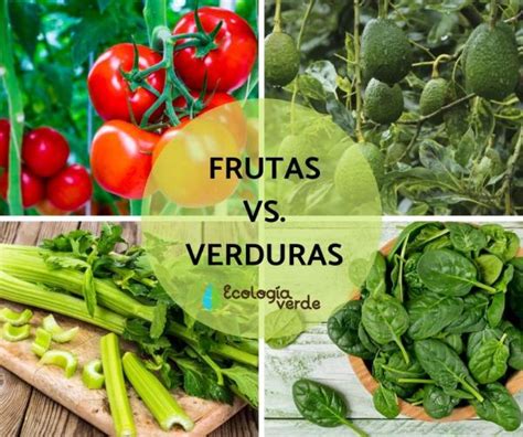 Diagrama ilustrando la diferencia entre fruta (con semilla) y verdura (parte de la planta sin semilla)