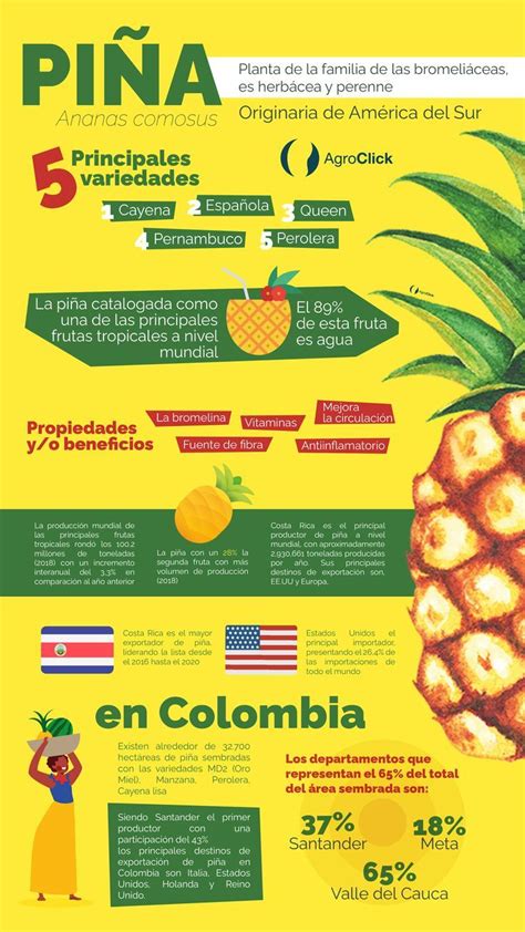 Infografía sobre los beneficios de la piña y el maracuyá