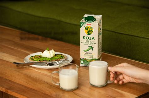 Esquema de transformación de la bebida de soja en tofu.