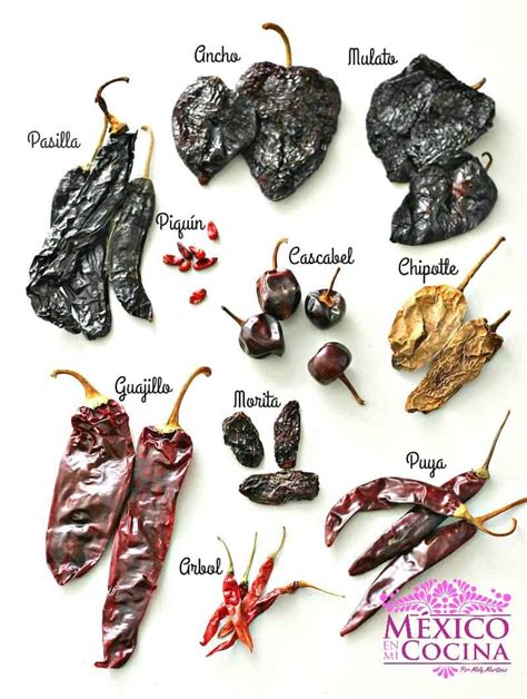 Selección de chiles secos como ancho y guajillo