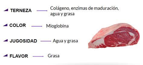 esquema técnico sobre el marmolado de la carne y su impacto en la jugosidad