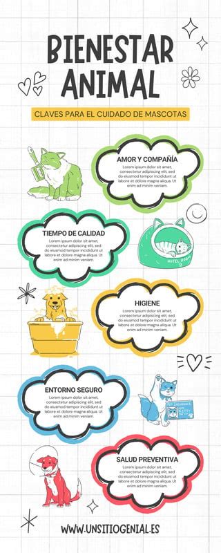 Infografía sobre el bienestar animal y el concepto