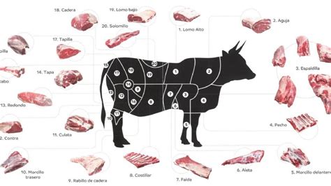 Infografía mostrando los diferentes cortes de carne de vacuno