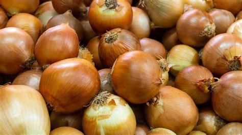 Cebollas frescas en un cesto, destacando su firmeza y buen estado