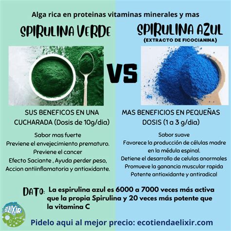 Infografía comparativa: perfil nutricional de la espirulina (proteínas, hierro, vitaminas B) frente a otros alimentos vegetales.