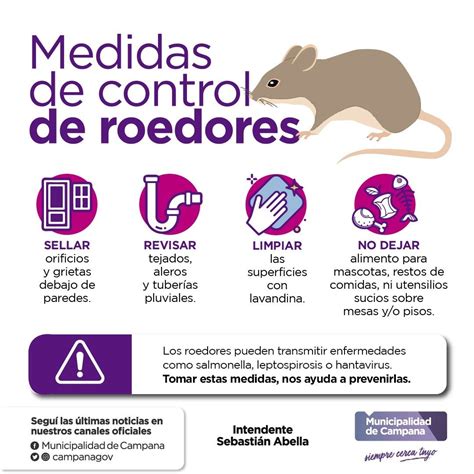 ilustracion de medidas de prevención contra roedores en el hogar y jardín