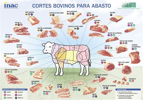 Esquema de cortes vacunos y sus usos recomendados en la parrilla
