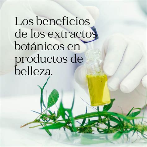 Infografía comparativa: beneficios de los extractos botánicos frente a químicos sintéticos en productos de belleza.