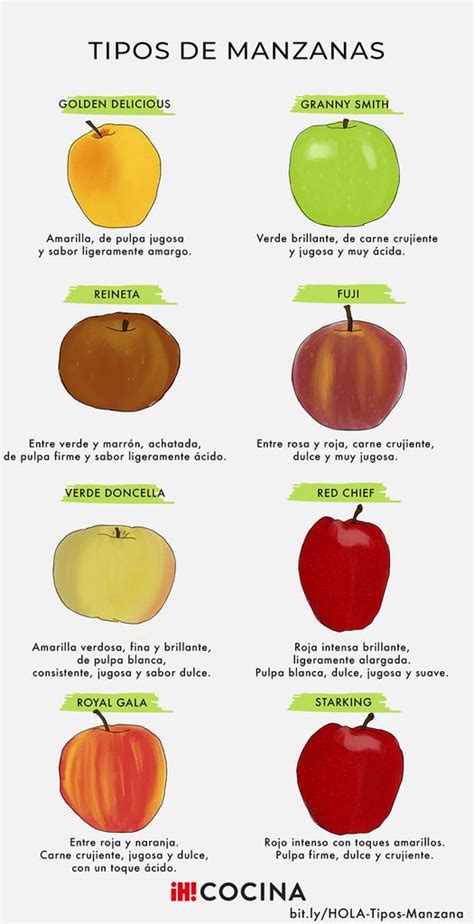 Ilustración de diferentes tipos de manzanas y una ramita de canela.